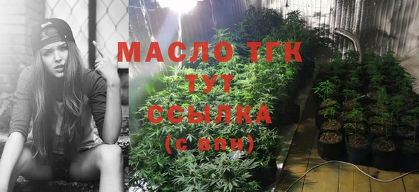 МДПВ Алексин