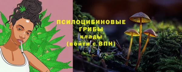 мет Алзамай